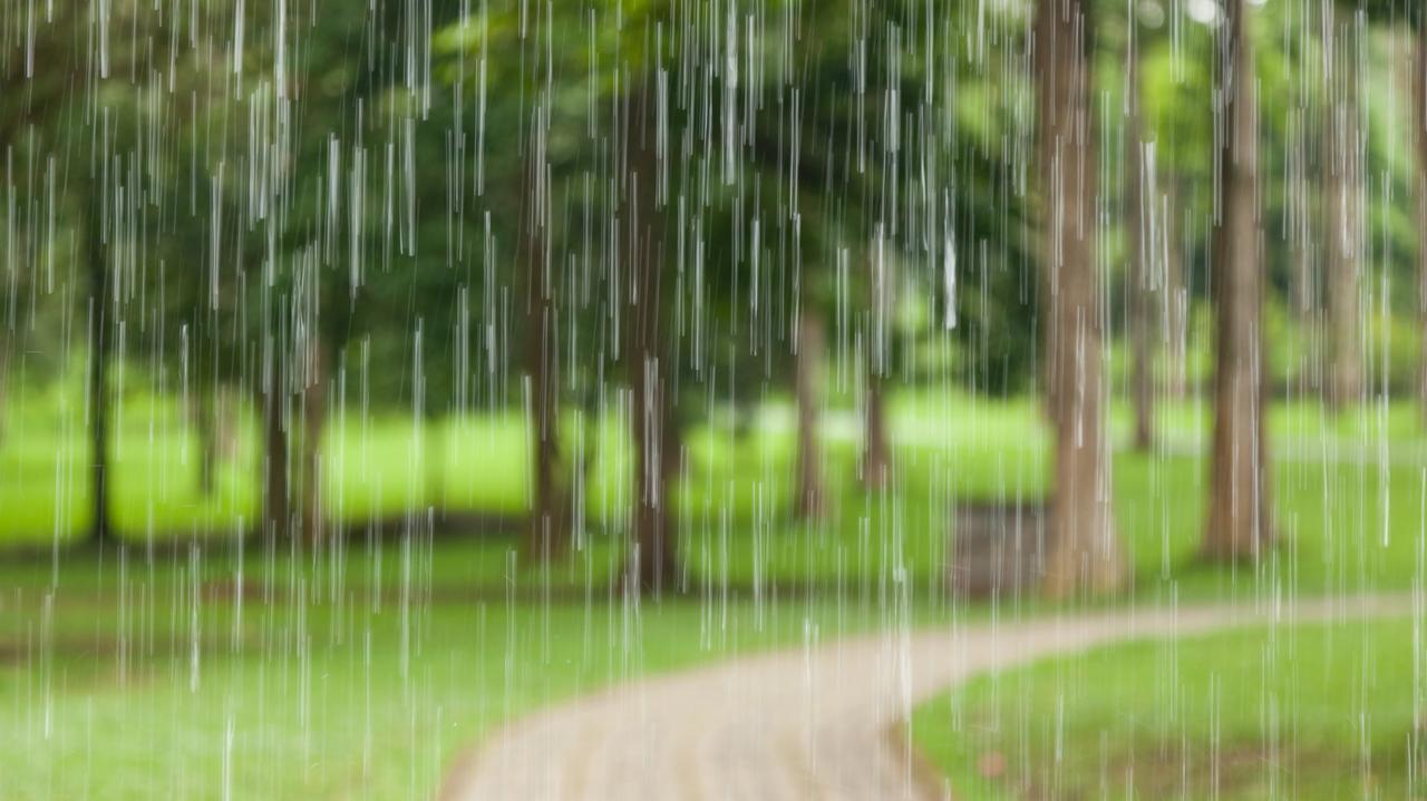 Pogoda Na Jutro Czwartek Noc I Za Dnia Popada Deszcz Tvn Meteo