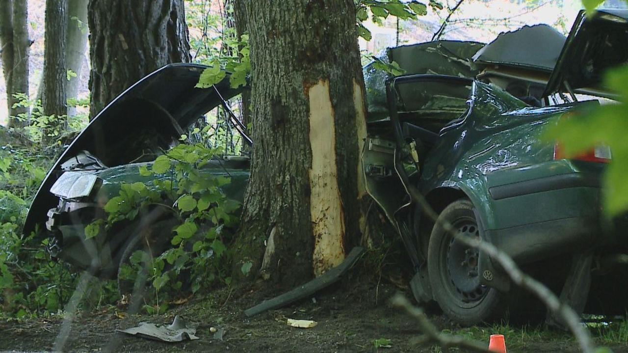 Latka Rozbi A Samoch D Na Drzewie Tvn