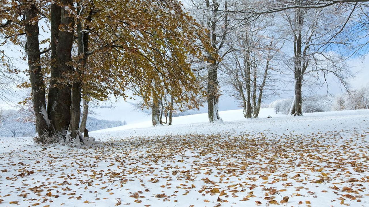 Zima zbliża się do Polski Na wschodzie kraju już spadł śnieg TVN Meteo