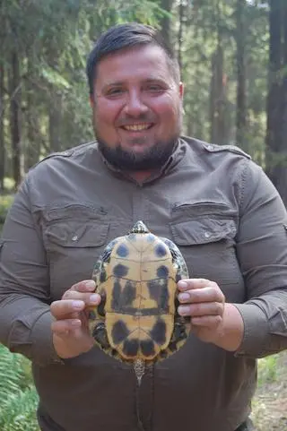 Żółwia złapano w piątek