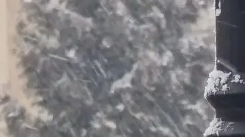 1577346_20230119_105527