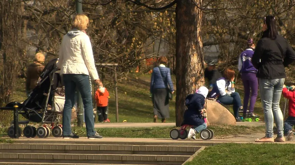 500 plus nabiera kształtów