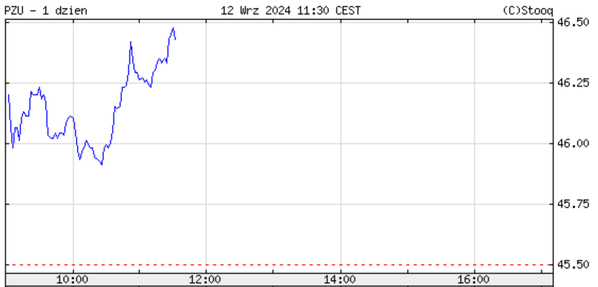 Kurs PZU