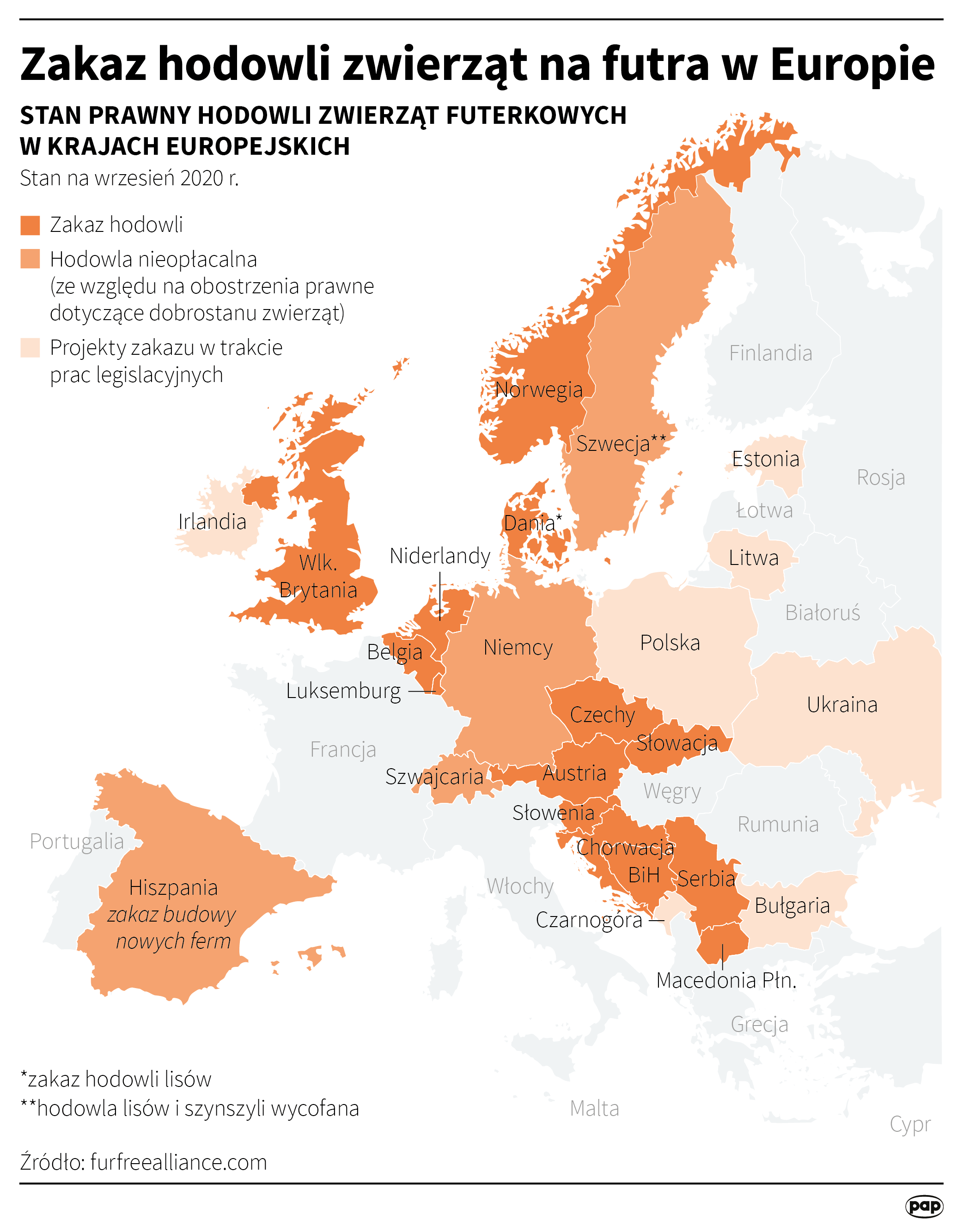 Aktualnie czytasz: "Piątka dla zwierząt" z poprawkami. Jest decyzja Senatu