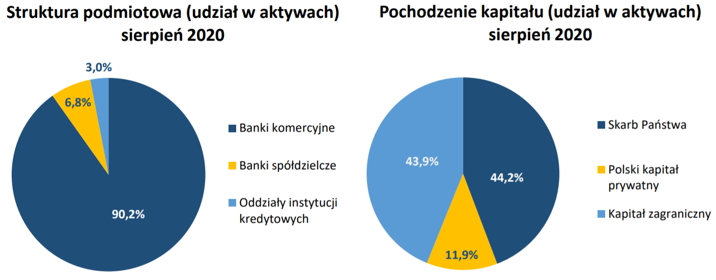 Struktura i pochodzenie kapitału banków - sierpień 2020