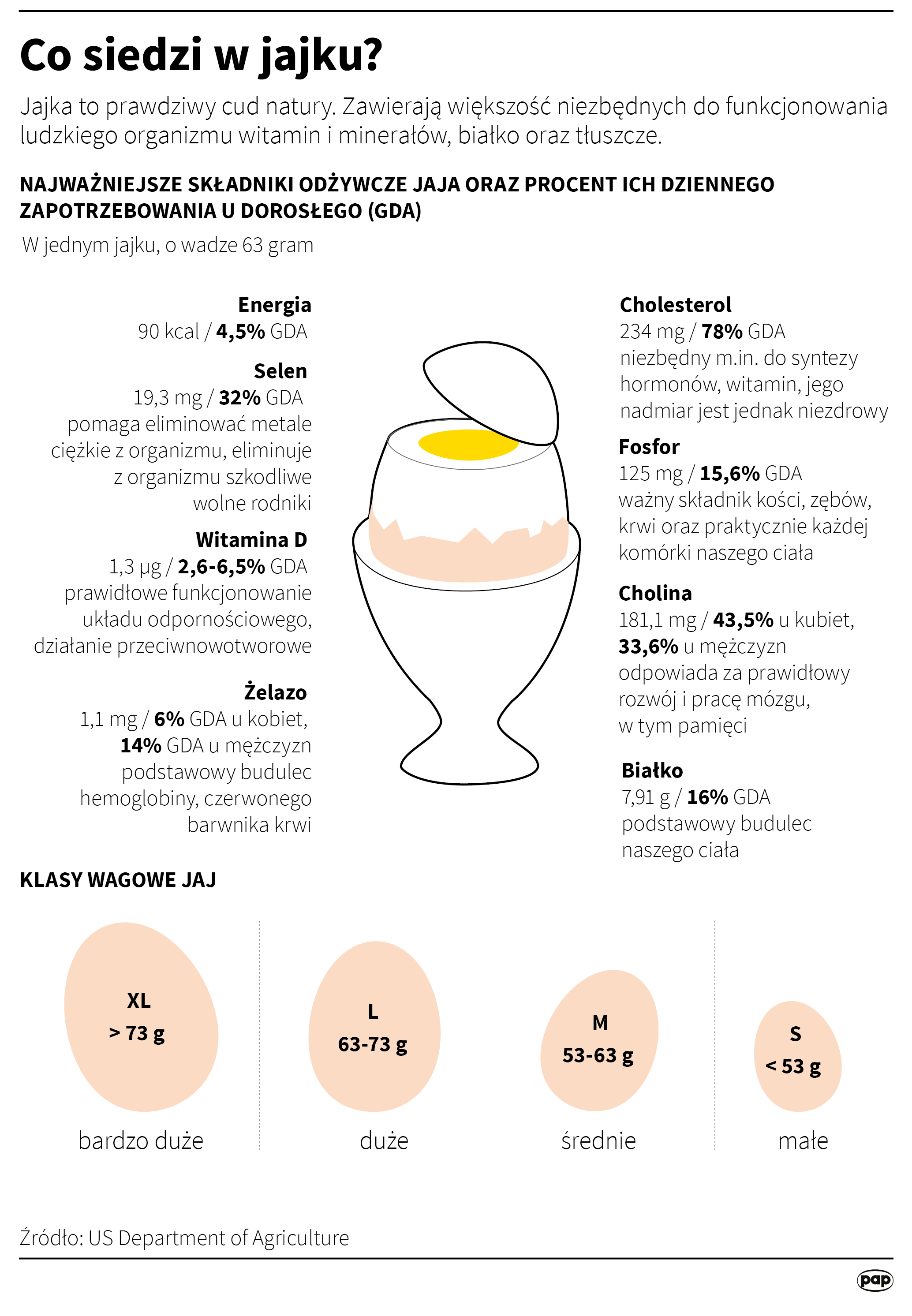 Składniki odżywcze w jajkach