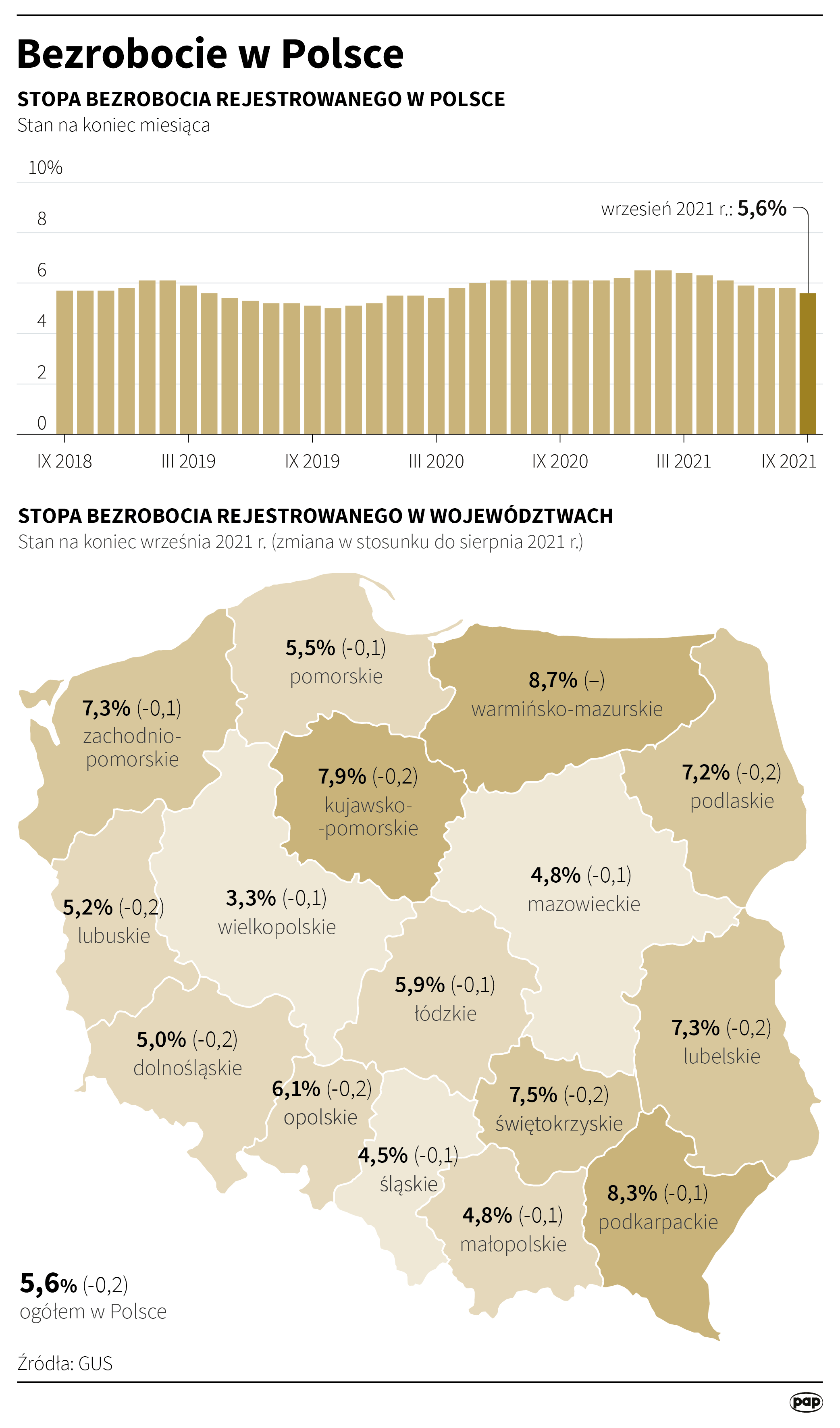 Aktualnie czytasz: Tyle wynosi bezrobocie rejestrowane w Polsce