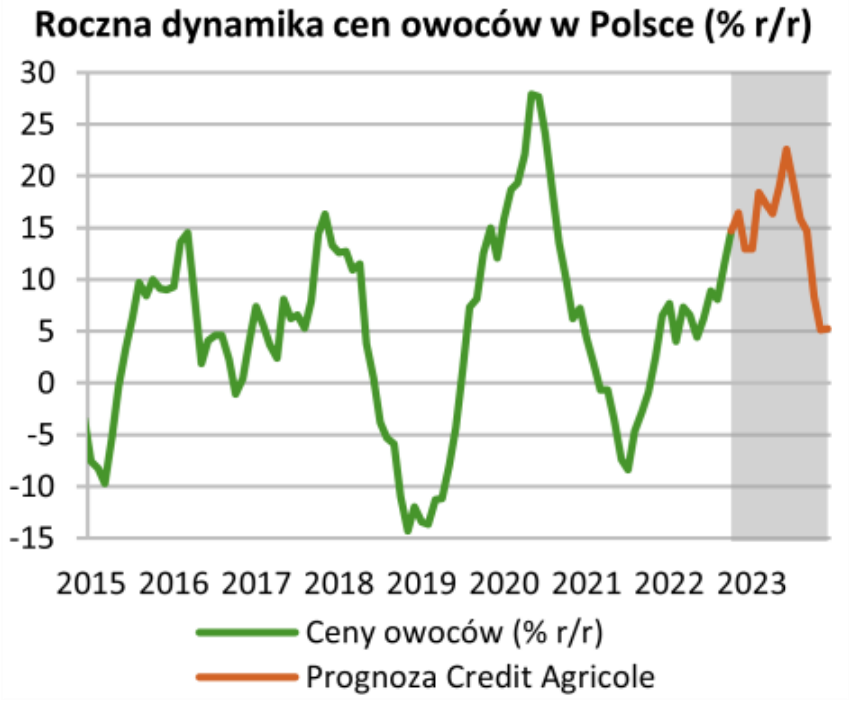 Aktualnie czytasz: Co podrożeje w 2023 roku?
