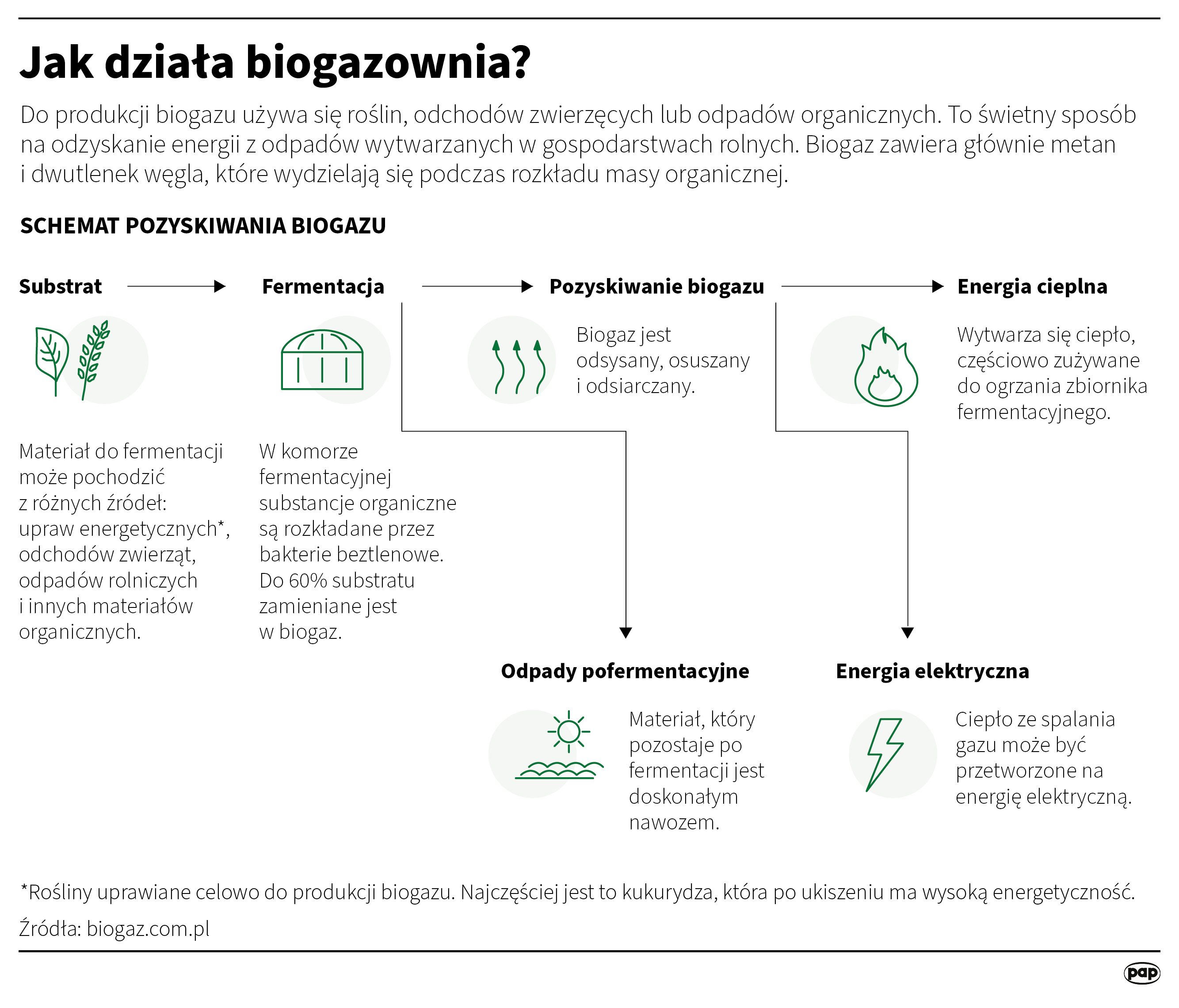 Aktualnie czytasz: Miliard złotych dla rolników. Ogłoszono nowy program