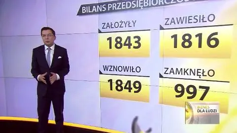 Bilans przedsiębiorczości, 29