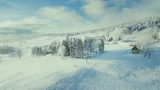 Zieleniec