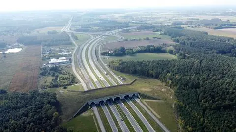 Przejście dla zwierząt nad drogą ekspresową S5 w woj. kujawsko-pomorskim