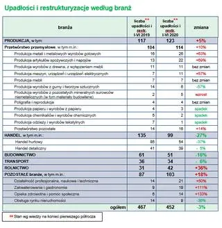 Upadłości i restrukturyzacje według branż