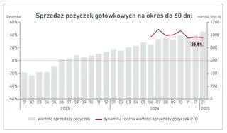 Sprzedaż pożyczek gotówkowych w 2025 roku