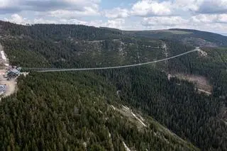 Sky Bridge 721