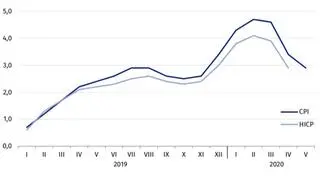 Wskaźnik cen towarów i usług konsumpcyjnych (CPI) oraz zharmonizowany wskaźnik
cen konsumpcyjnych (HICP)