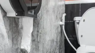 System rozpoznawania twarzy w publicznych toaletach