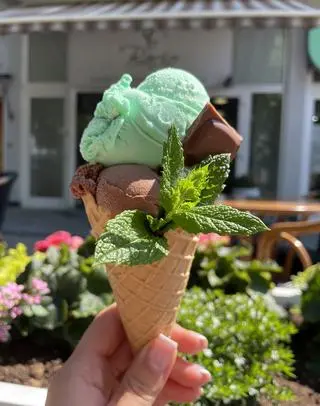 Lodziarnia Bacio