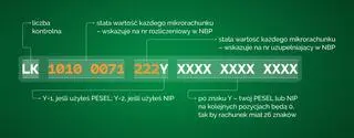 Z czego składa się mikrorachunek podatkowy