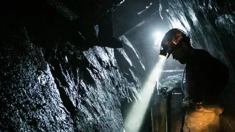 shutterstock_1153891762