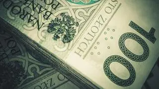 Złoty słabnie wobec głównych walut