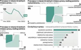 Dla ilu pracodawców pracujemy?