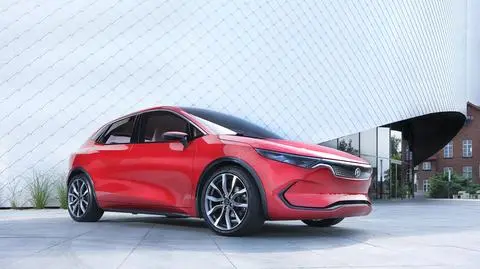 Cięcia etatów, redukcje kosztów i koniec marzenia o milionie aut