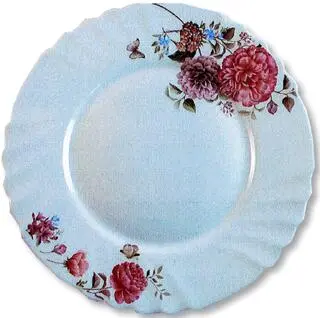 Talerz wycofany z obrotu