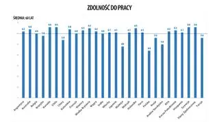 Deklarowana zdolność do pracy