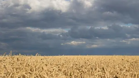 Miliony osób doświadczy głodu. Taki może być skutek rosyjskiej inwazji