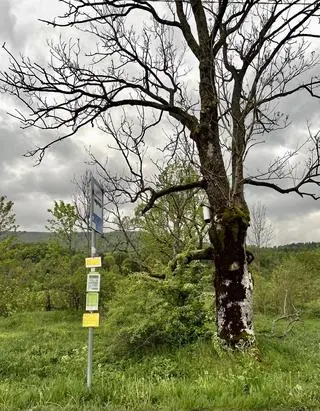 Przystanek autobusowy w Bieszczadach