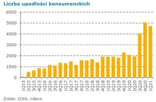 Aktualnie czytasz: Załamanie w handlu i usługach. "Programy pomocowe nie mogą zastąpić normalnego obrotu"
