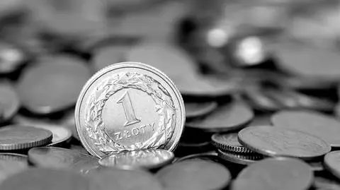 Złoty odrabia straty. Euro poniżej 4,60