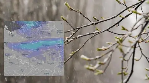Zimny prysznic. W części Polski do deszczu dołączy śnieg