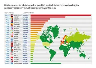 Najpopularniejsze kierunki