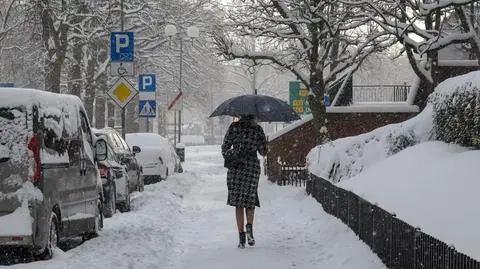 Konsekwencje za nieodśnieżony chodnik. Mandat może być tylko początkiem kłopotów