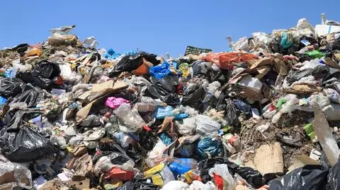 Od dziś zmiany w systemie opłat za śmieci. Jakie są maksymalne stawki?