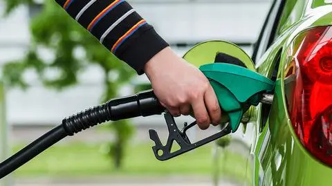 "Stabilność cen niektórych typów paliw może imponować"