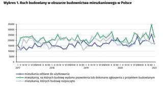 Aktualnie czytasz: Najlepszy styczeń w historii. "Deweloperzy nie zasypiali gruszek w popiele"