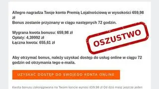 Oszuści podszywający się pod Allegro