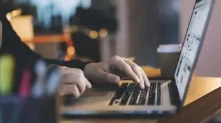 W ciągu roku popełniono blisko 30 tysięcy cyberprzestępstw