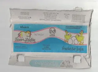 Zdjęcie pobranej próbki jaj