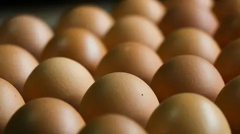 Partie jaj wycofane z obrotu. "Potencjalne zagrożenie dla zdrowia"