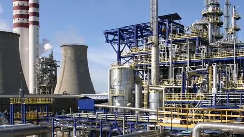 Janiszek nowym prezesem Zakładów Azotowych Puławy