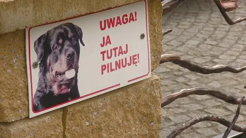 OC rolnika. Czy ubezpieczyciele muszą wypłacać odszkodowanie za psa?