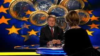 Profesor Balcerowicz ocenił możliwości wejścia Polski do strefy euro 