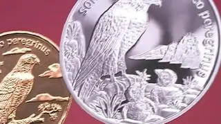 Długa noc w długiej kolejce, Tak było miedzy innymi w Warszawie. Aż trudno uwierzyć, że powodem mogą być te kolekcjonerskie monety NBP z corocznej serii „Zwierzęta świata”.