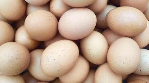Partie jaj wycofane z obrotu. "Potencjalne zagrożenie dla zdrowia"