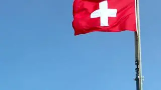 W raporcie napisano, że w 2013 roku pochodzenie imigranckie miały 2,4 mln z 6,8 mln mieszkańców 