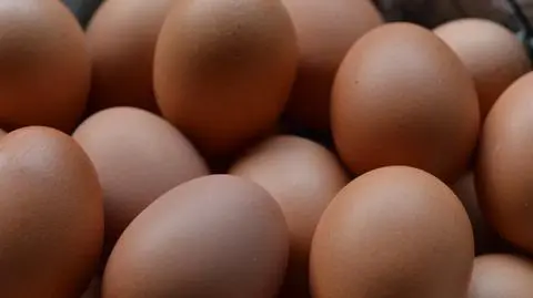 Jajeczny kryzys w Polsce? Są coraz droższe i zaczyna ich brakować